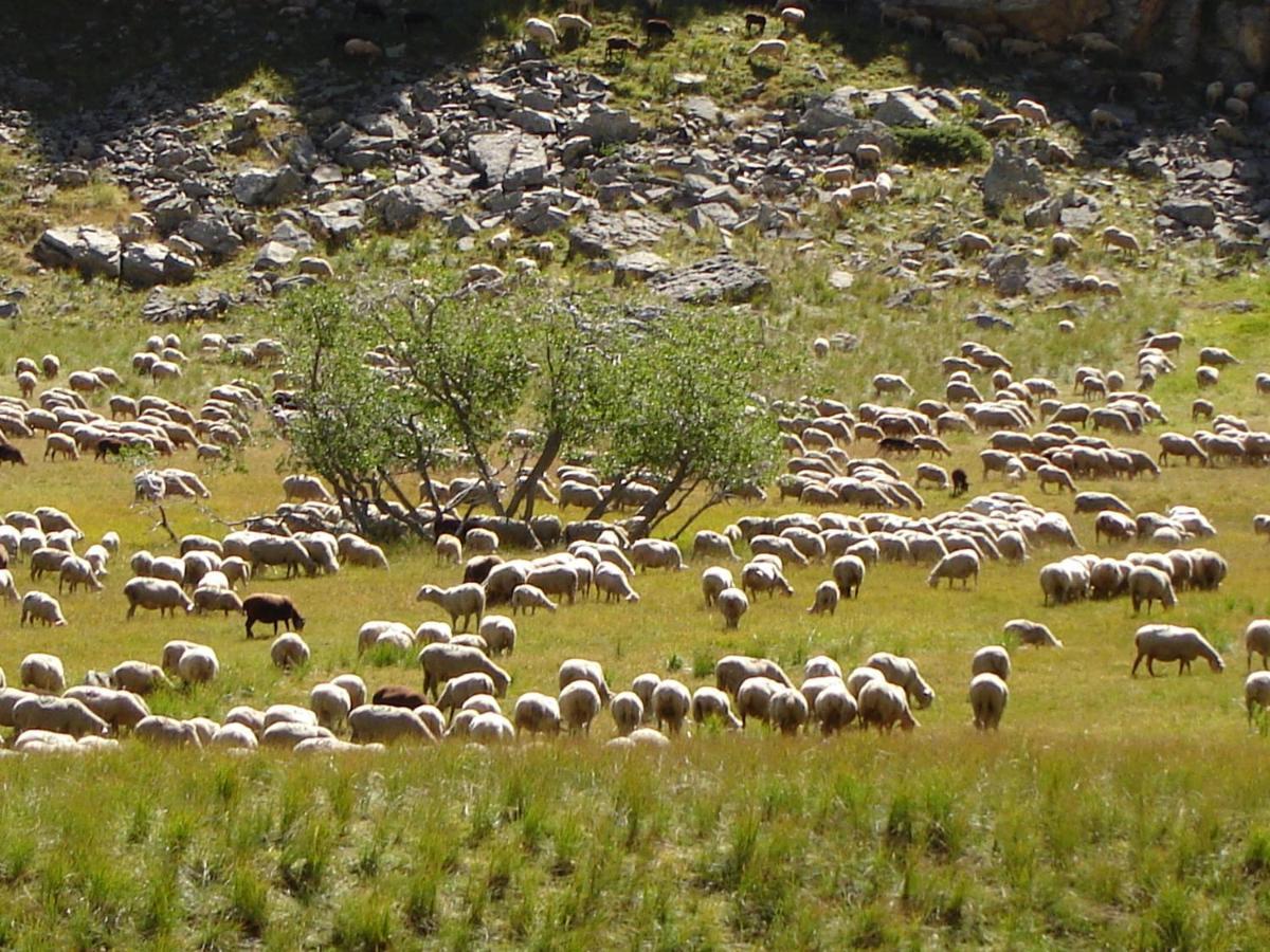 La petite étoile d'hôtes en Mercantour Saint-Dalmas-le-Selvage Esterno foto