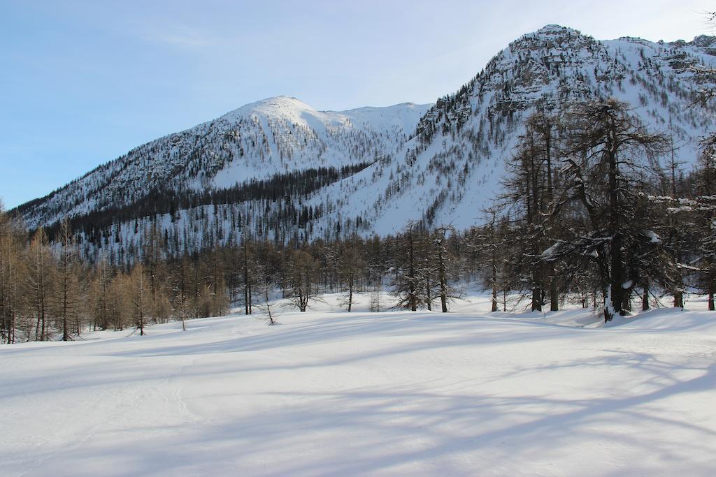 La petite étoile d'hôtes en Mercantour Saint-Dalmas-le-Selvage Esterno foto