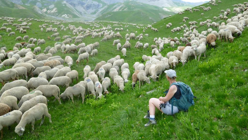 La petite étoile d'hôtes en Mercantour Saint-Dalmas-le-Selvage Esterno foto